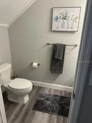 16305 Fairford Palms Court Tampa FL 33647