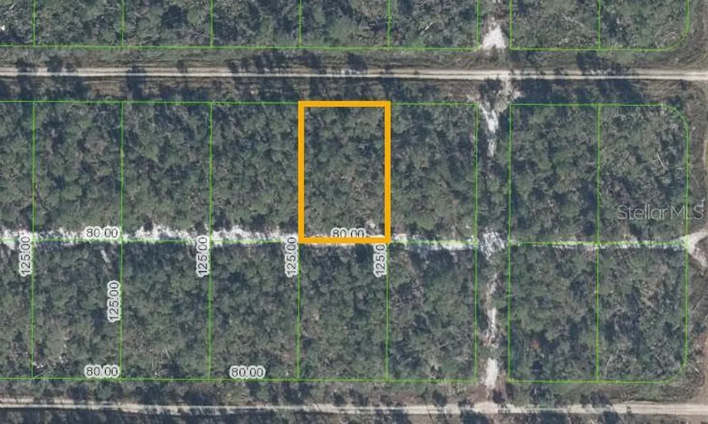 513 Nightingale Avenue Sebring FL 33872