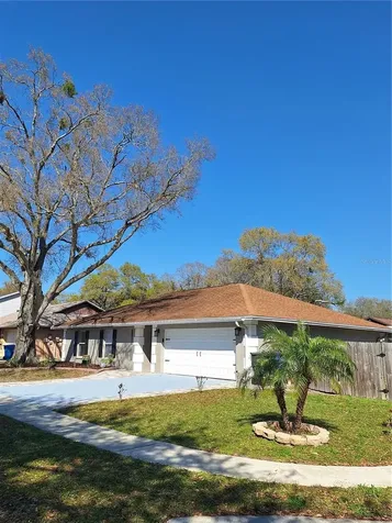13611 Old Farm Drive Tampa FL 33625
