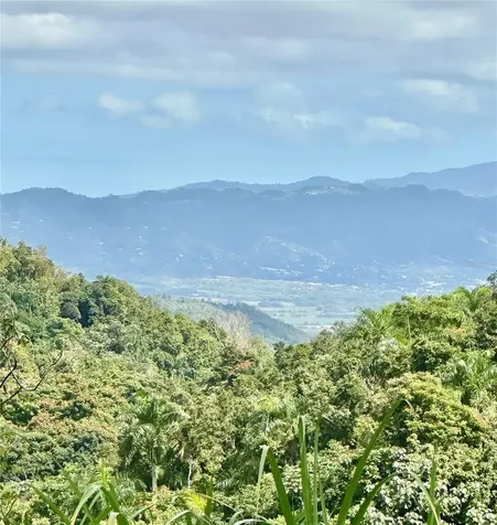 Road 785 Km.hm 4 Barrio Caguitas Aguas Buenas PR 00703