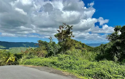 Road 785 Km.hm 4 Barrio Caguitas Aguas Buenas PR 00703
