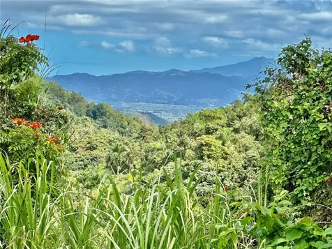 Road 785 Km.hm 4 Barrio Caguitas Aguas Buenas PR 00703