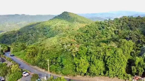 Road 785 Km.hm 4 Barrio Caguitas Aguas Buenas PR 00703