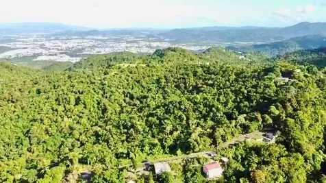 Road 785 Km.hm 4 Barrio Caguitas Aguas Buenas PR 00703