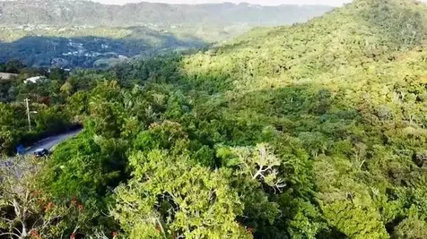 Road 785 Km.hm 4 Barrio Caguitas Aguas Buenas PR 00703