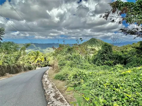 Road 785 Km.hm 4 Barrio Caguitas Aguas Buenas PR 00703