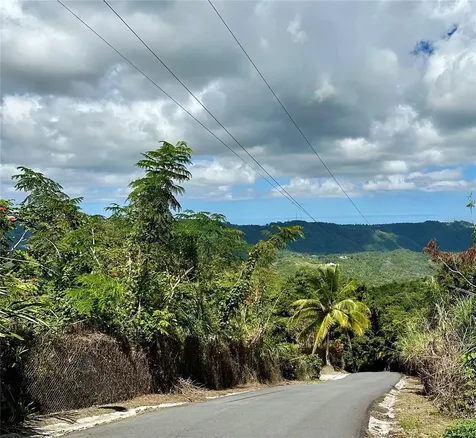 Road 785 Km.hm 4 Barrio Caguitas Aguas Buenas PR 00703