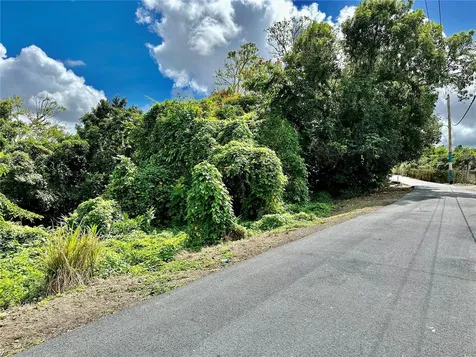 Road 785 Km.hm 4 Barrio Caguitas Aguas Buenas PR 00703
