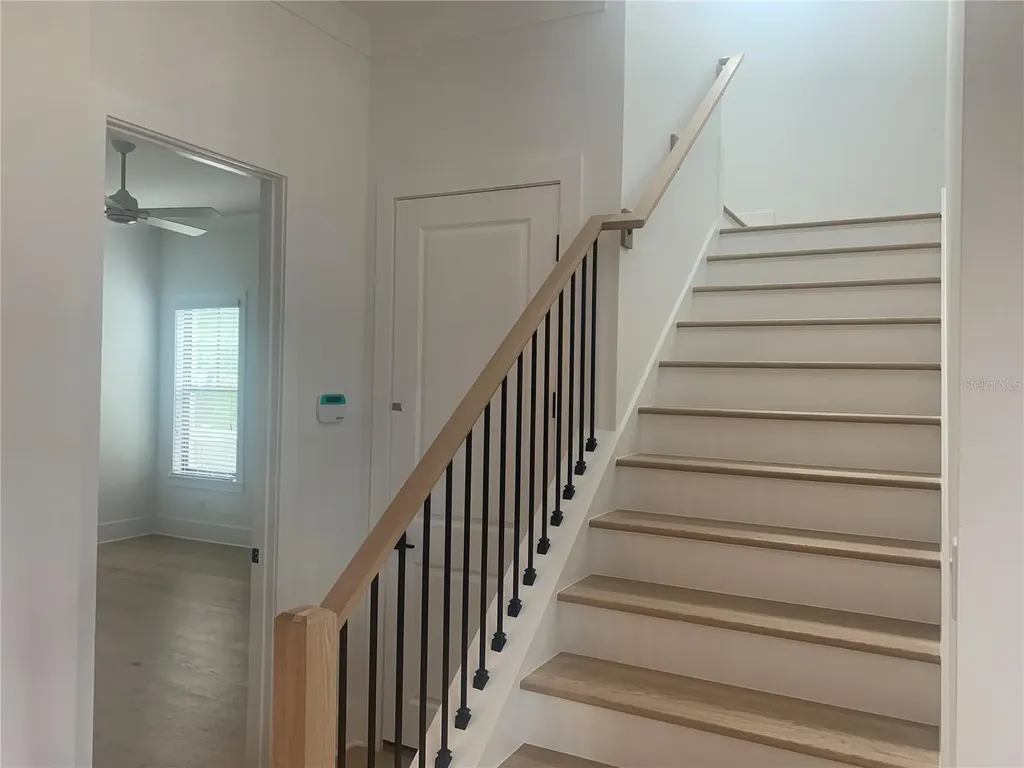 567 Luzon Avenue Tampa FL 33606