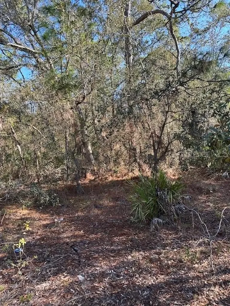 7179 W Merrivale Lane Homosassa FL 34446