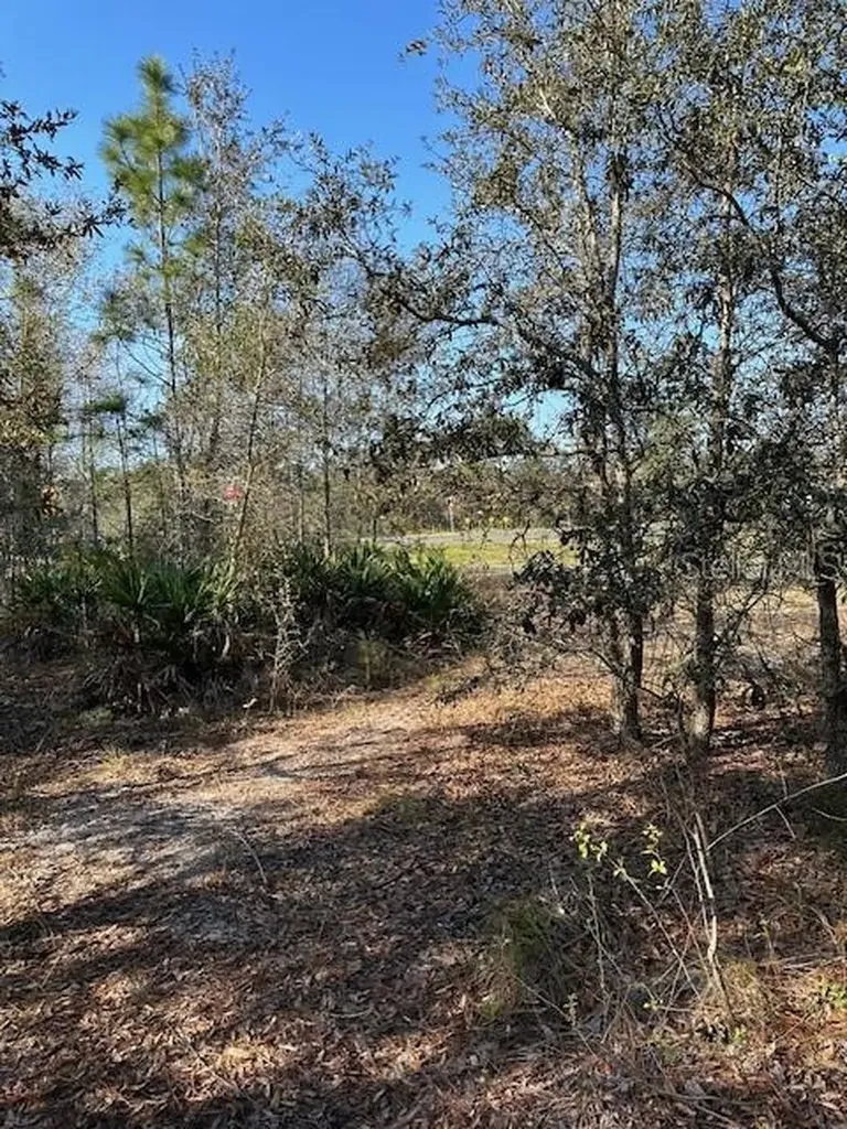 7179 W Merrivale Lane Homosassa FL 34446