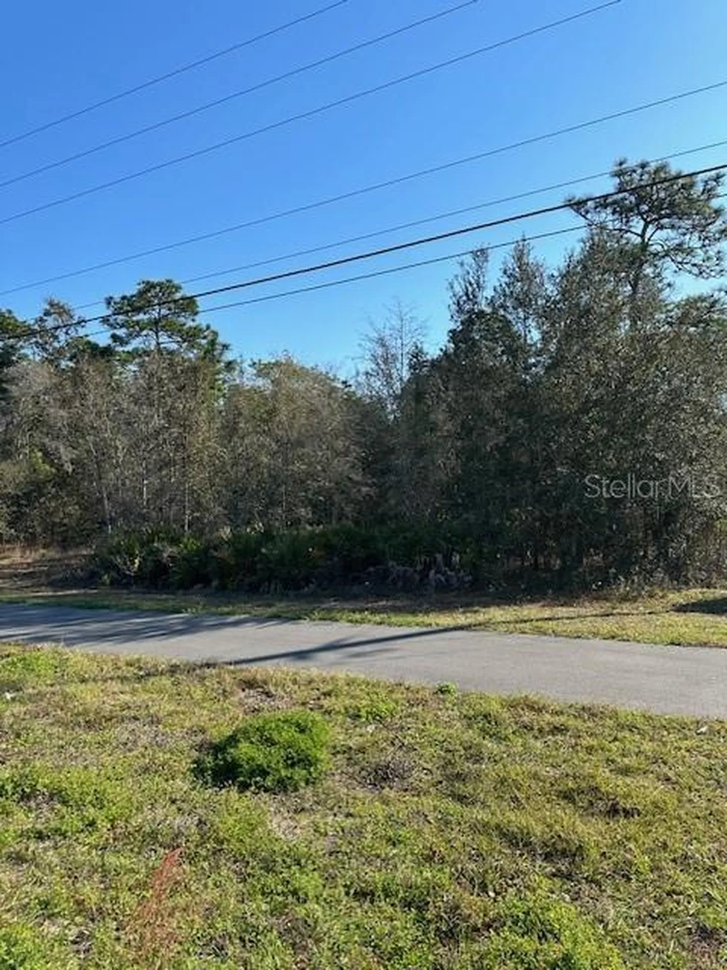 7179 W Merrivale Lane Homosassa FL 34446