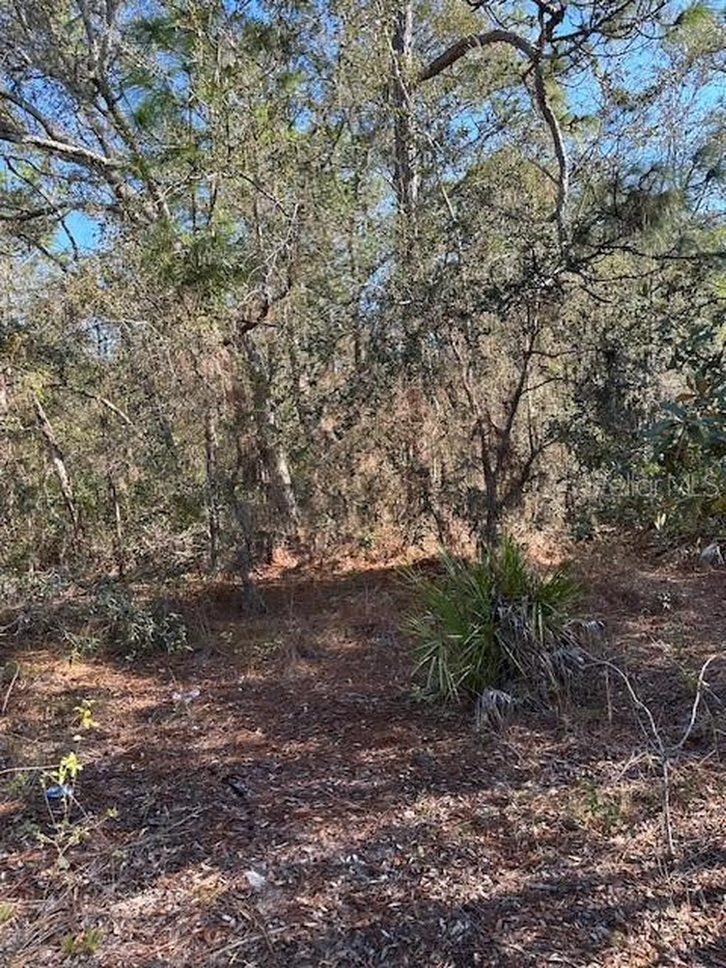 7179 W Merrivale Lane Homosassa FL 34446