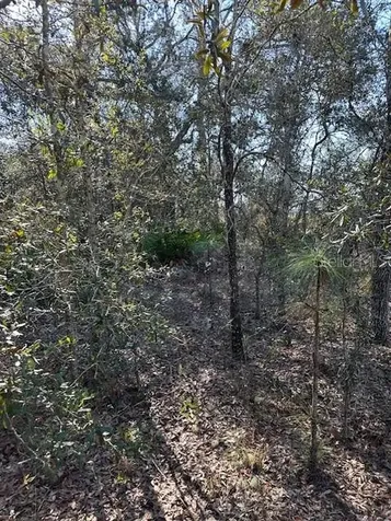 7179 W Merrivale Lane Homosassa FL 34446