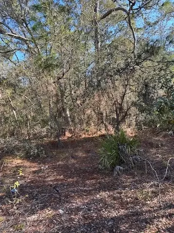 7179 W Merrivale Lane Homosassa FL 34446