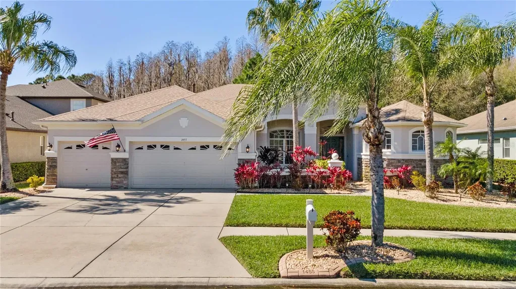 1455 Salmonberry Street Wesley Chapel FL 33543