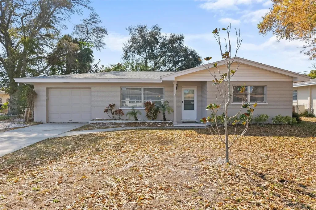1343 S Lotus Drive Dunedin FL 34698