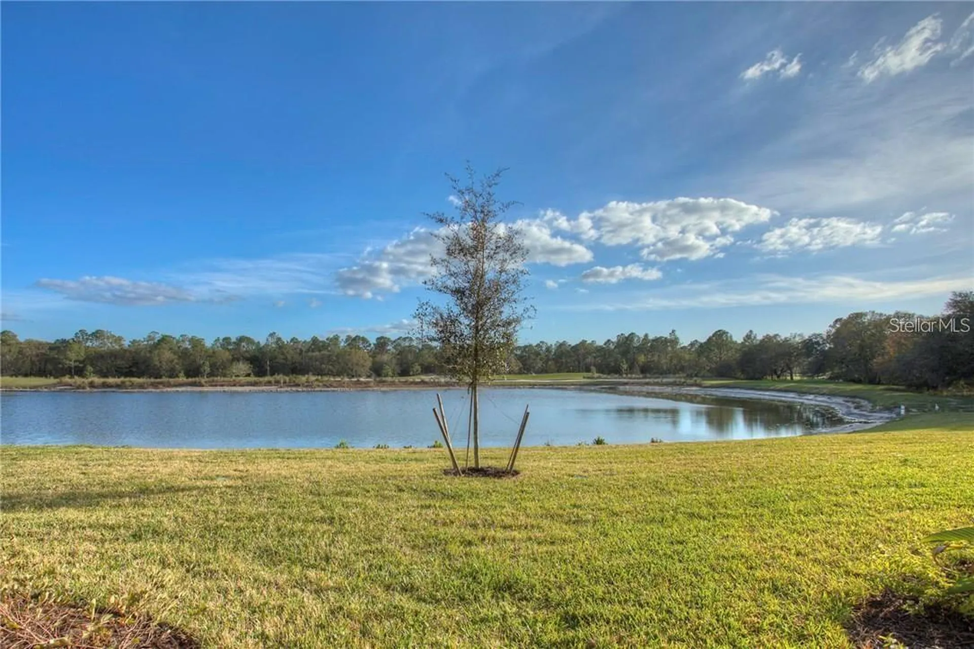16706 Vardon Terrace Lakewood Ranch FL 34202