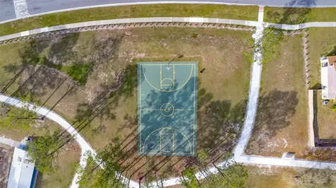 5406 Oak Cradle Court Tampa FL 33624