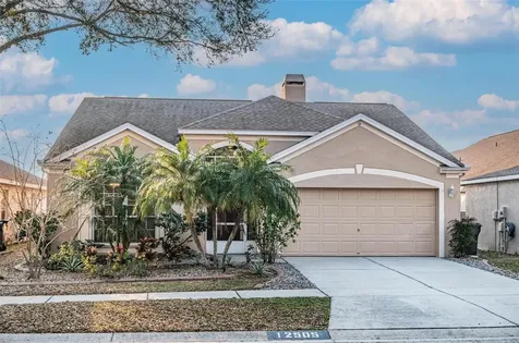 12505 Midpointe Drive Riverview FL 33578