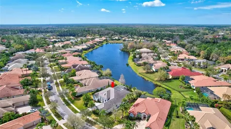 12015 Royce Waterford Circle Tampa FL 33626