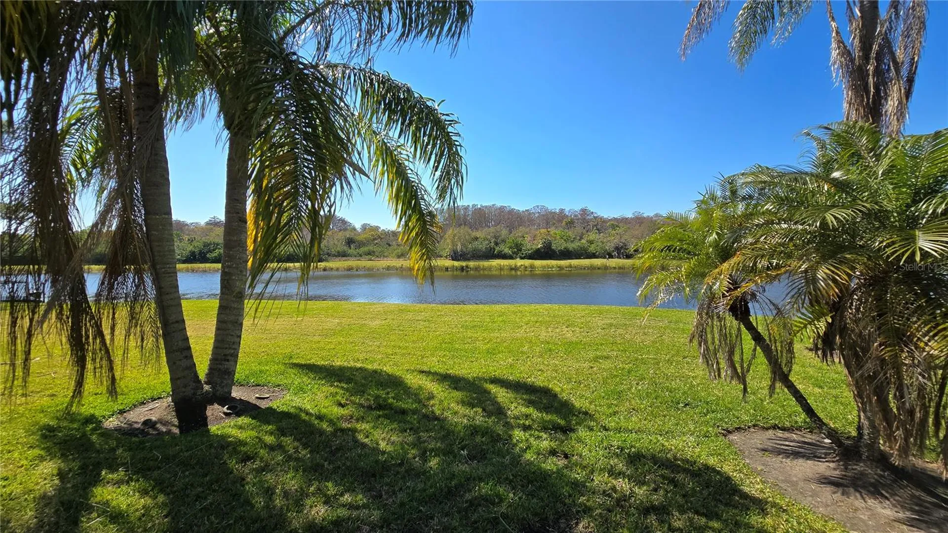 1648 Lago Vista Boulevard Palm Harbor FL 34685