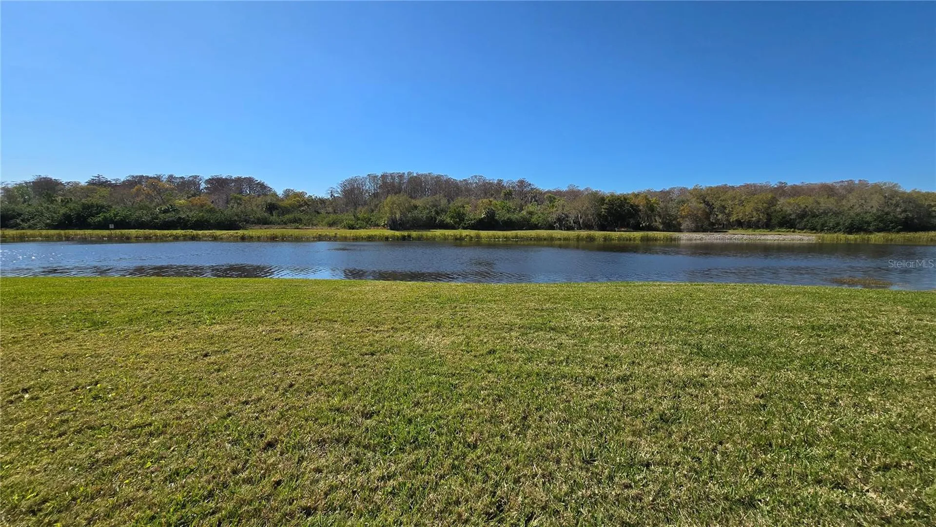 1648 Lago Vista Boulevard Palm Harbor FL 34685