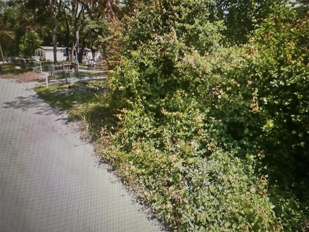 Malati Street New Port Richey FL 34654