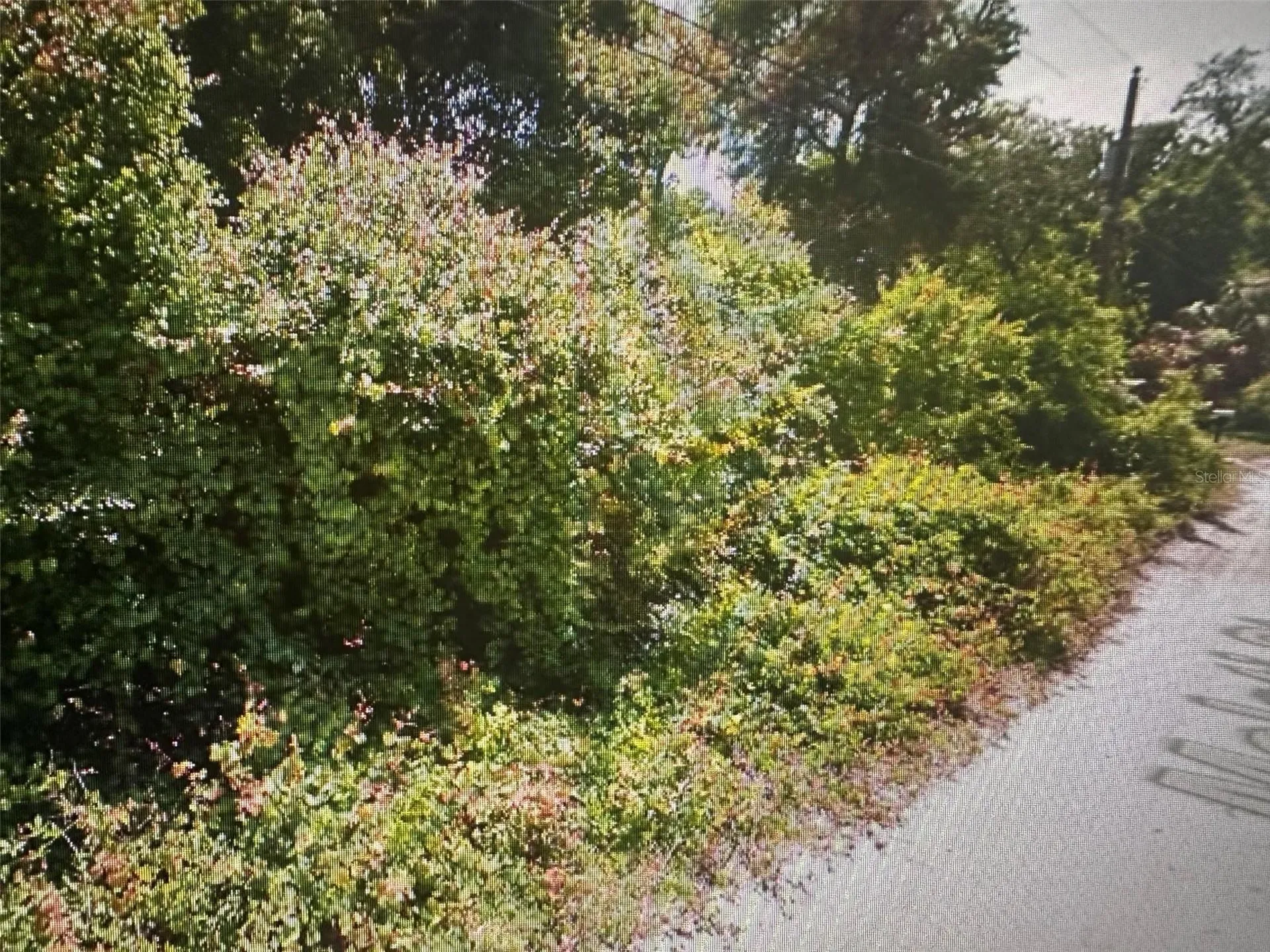 Malati Street New Port Richey FL 34654