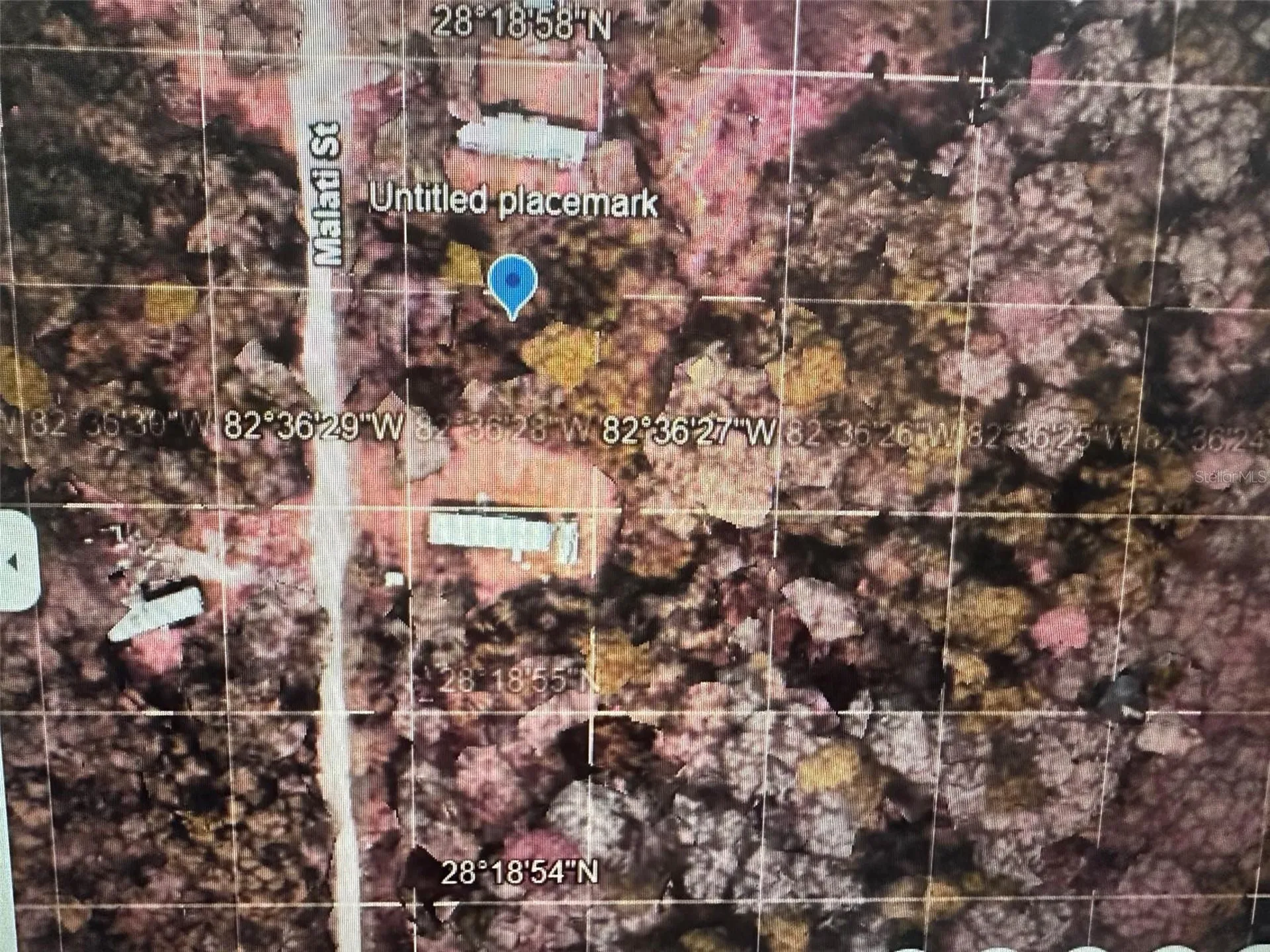 Malati Street New Port Richey FL 34654