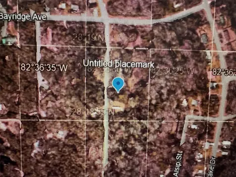 Malati Street New Port Richey FL 34654