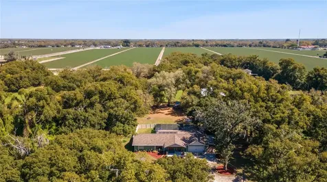 3535 Moores Lake Road Dover FL 33527