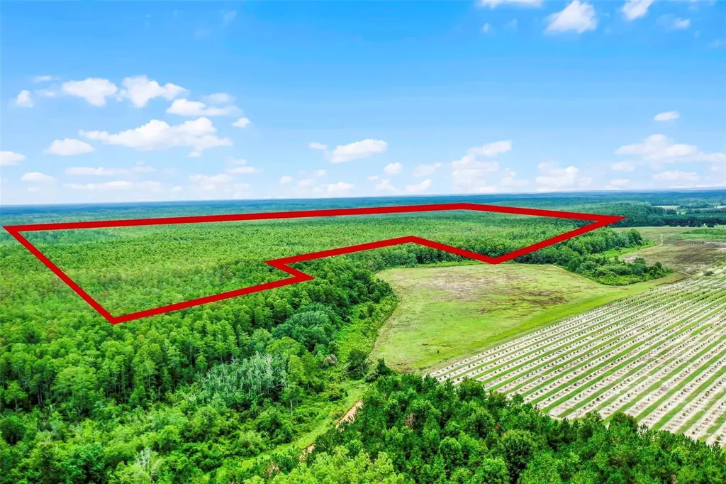 S Boggy Marsh Road Clermont FL 34711