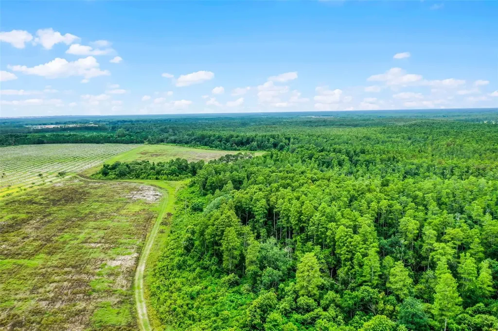 S Boggy Marsh Road Clermont FL 34711