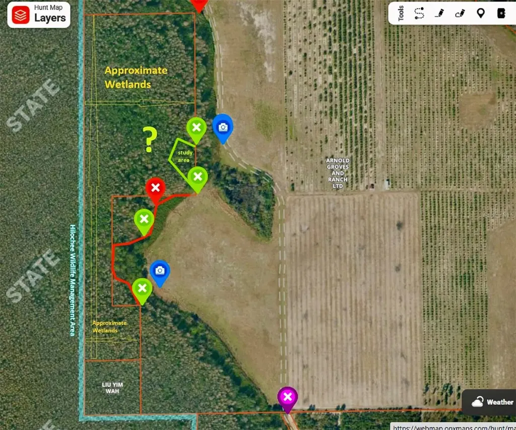 S Boggy Marsh Road Clermont FL 34711