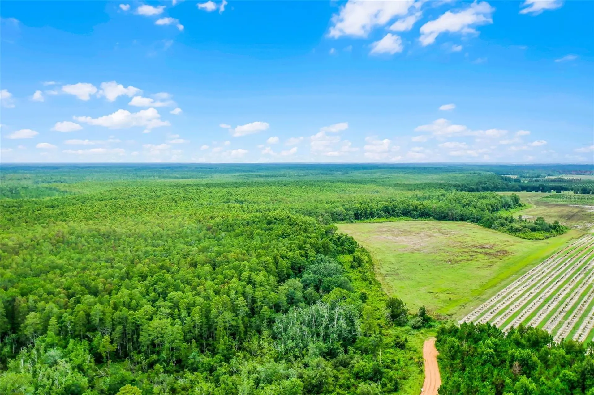 S Boggy Marsh Road Clermont FL 34711