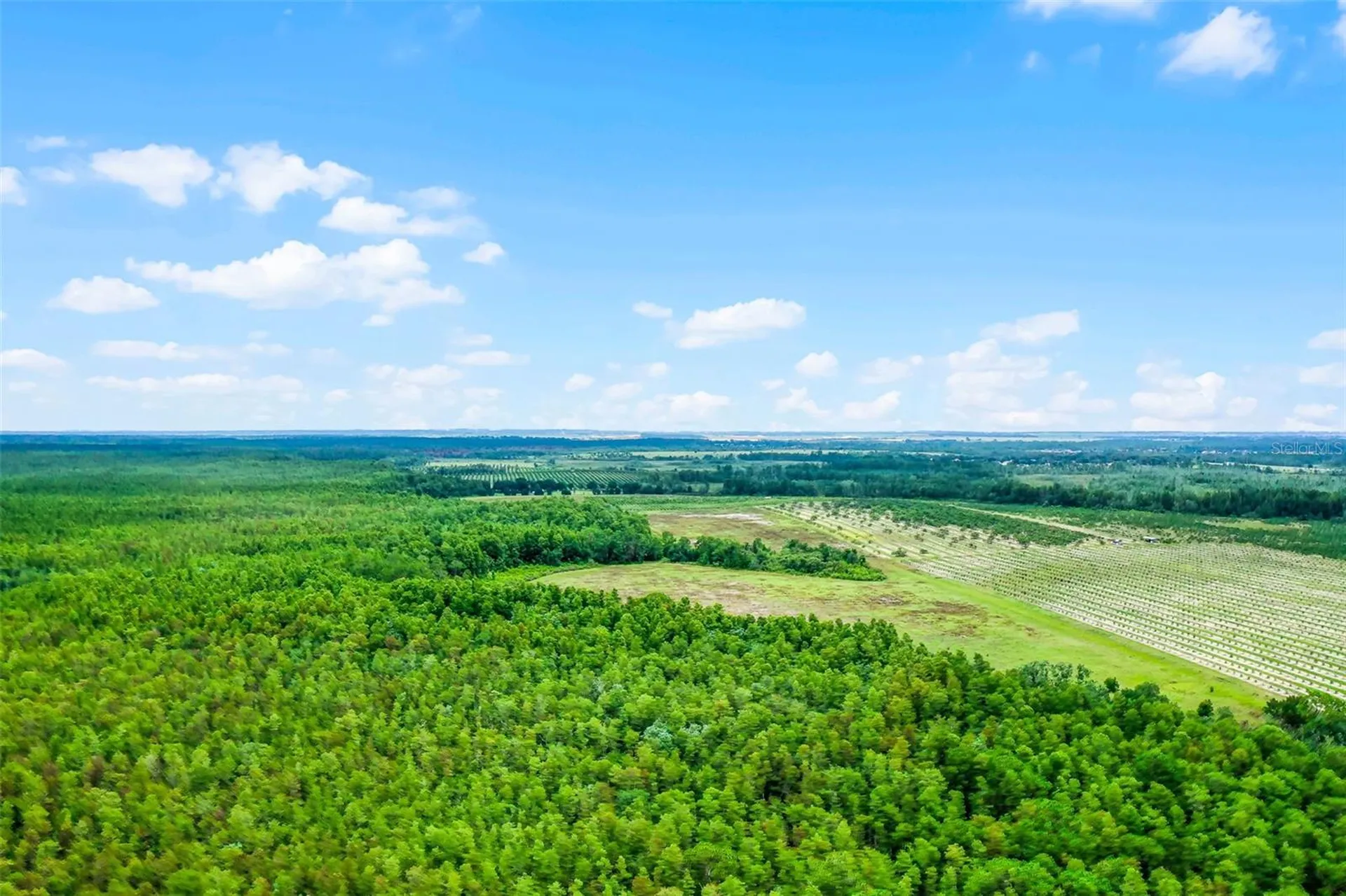 S Boggy Marsh Road Clermont FL 34711