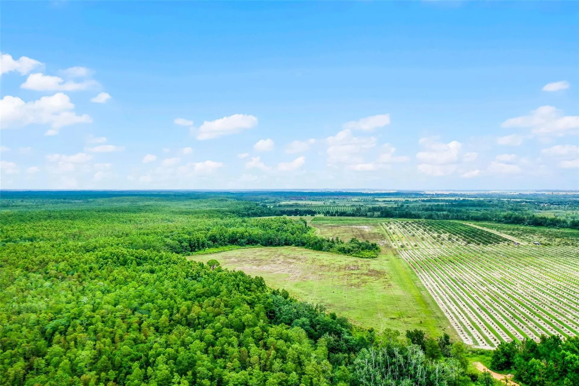 S Boggy Marsh Road Clermont FL 34711