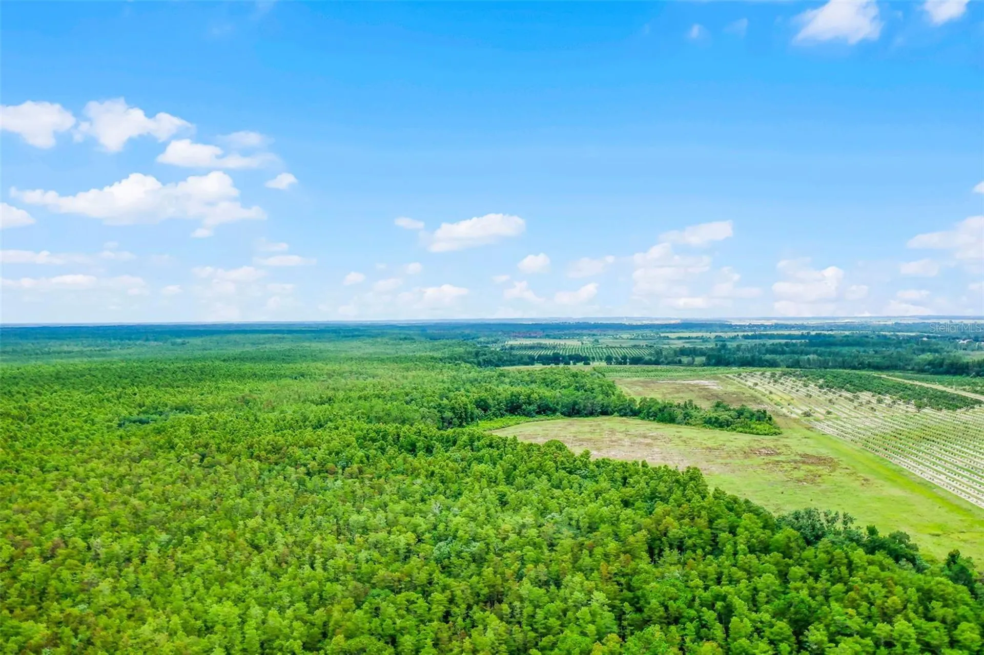 S Boggy Marsh Road Clermont FL 34711