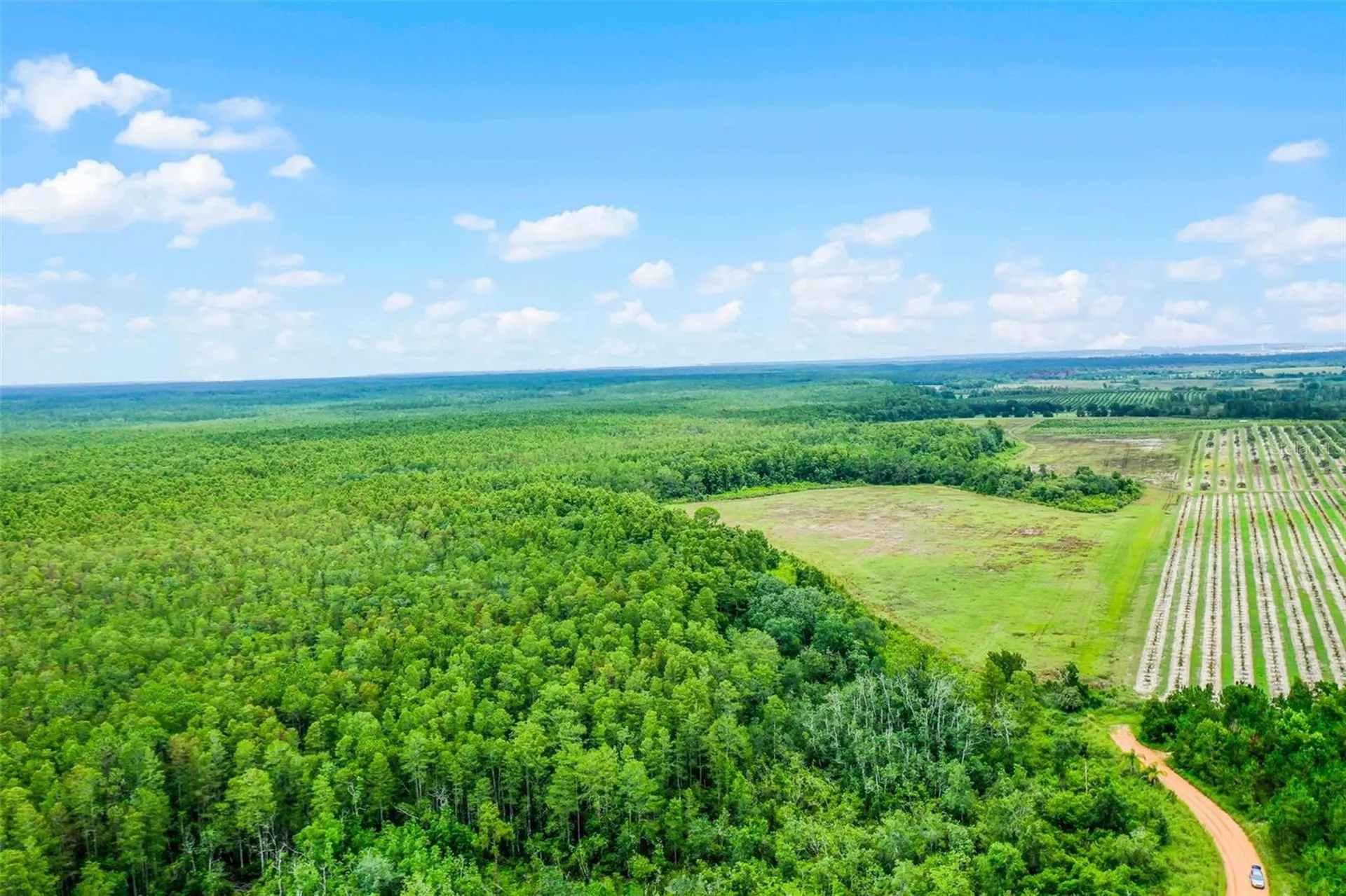 S Boggy Marsh Road Clermont FL 34711
