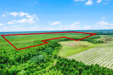 S Boggy Marsh Road Clermont FL 34711