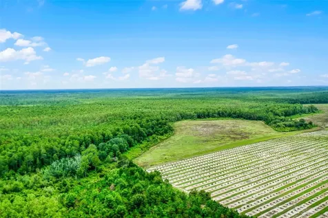 S Boggy Marsh Road Clermont FL 34711