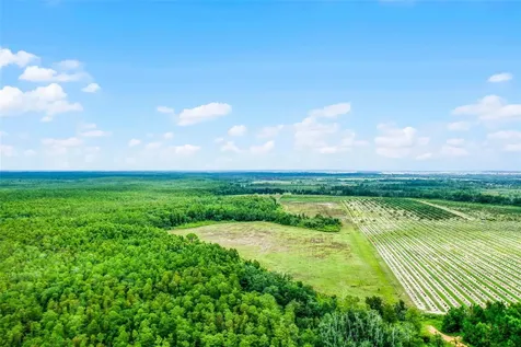 S Boggy Marsh Road Clermont FL 34711
