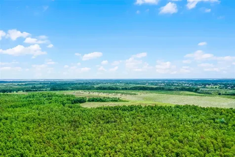 S Boggy Marsh Road Clermont FL 34711
