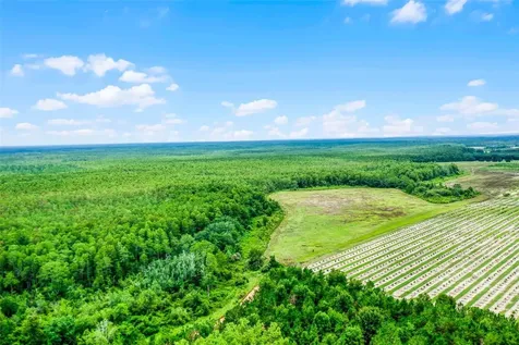 S Boggy Marsh Road Clermont FL 34711