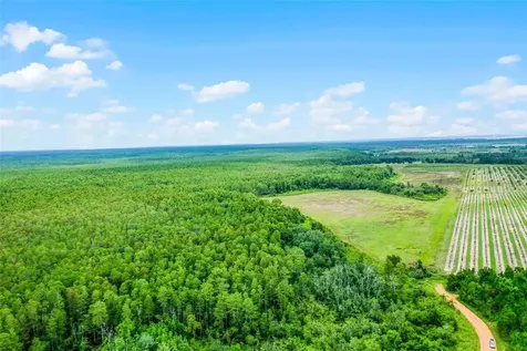 S Boggy Marsh Road Clermont FL 34711