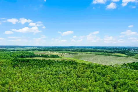 S Boggy Marsh Road Clermont FL 34711