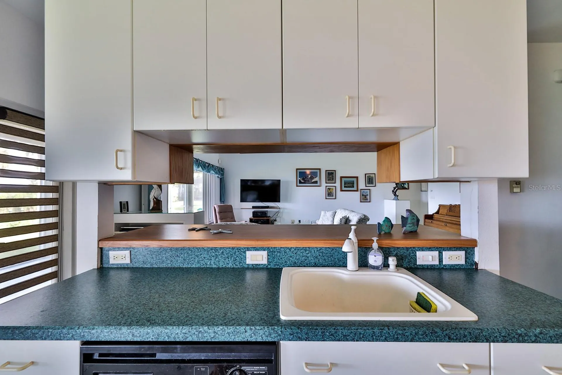 2437 Swordfish Lane Edgewater FL 32141