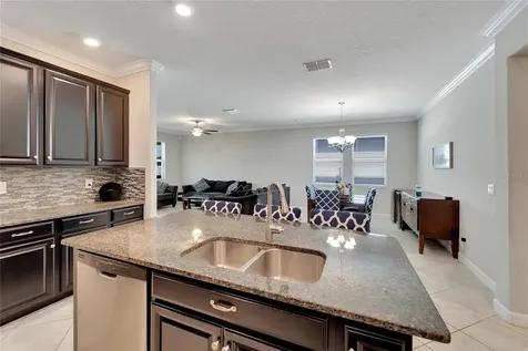 13334 Wildflower Meadow Drive Riverview FL 33579