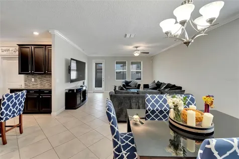 13334 Wildflower Meadow Drive Riverview FL 33579
